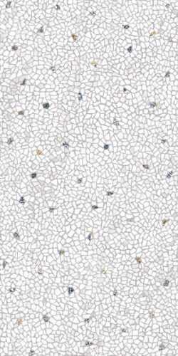 Kerama Marazzi SG594102R Палладиана светлый декорированный 119.5x238.5