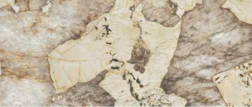 Керамогранит Atlas Concorde Italy AFXV Marvel Desert Soul Lappato 120x278