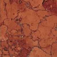 Декоративная вставка Atlas Concorde Italy 1BMV Marfil Bottone Marmo Verona 4.8x4.8