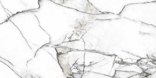 Керамогранит Peronda Premiere White Ep 60x120