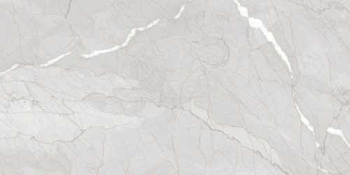 Керамогранит Evolution Ceramic HSIL60120C Hawk Silver Carving 60х120