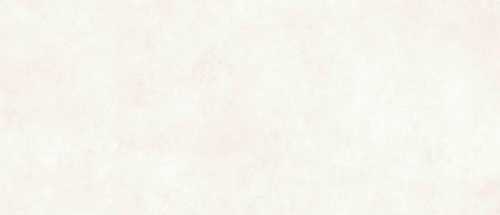 Керамогранит Simpolo Ceramics Scs Spectra Salt Gv 120х278