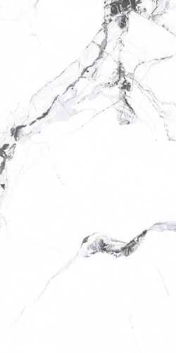 Керамогранит PrimaVera PR222 Videl Bianco polished 600x1200x9
