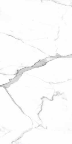 Керамогранит PrimaVera PR207 Salvatore Polished 600x1200