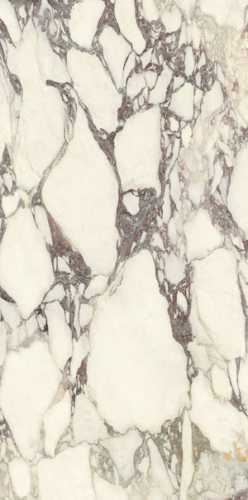 Керамогранит Ariostea PL612671 Calacatta Viola Luc 60x120