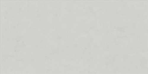 Керамогранит Ariana Ceramica FLORALIA NEIGE 60x120