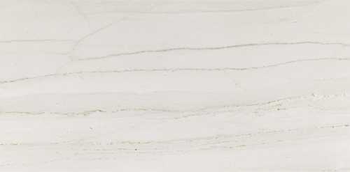 Керамогранит Porcelanosa P26200011 Portofino Pulido 58