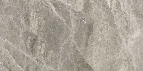 Керамогранит Ape A035780 Silver Grey Pol. 60*120