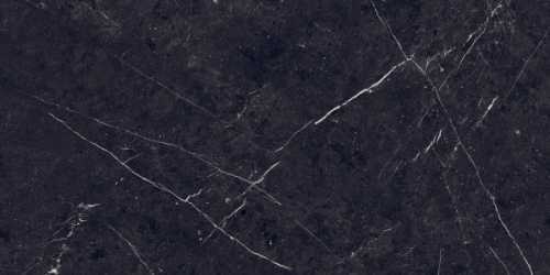 Керамогранит Eurotile 7930138702589 Pietra Negro High Glossy 60x120
