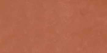 Керамогранит Imola Ceramica RTN6 CARMI12 RM 60x120