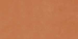 Керамогранит Imola Ceramica RTN6 ARANC12 RM 60x120