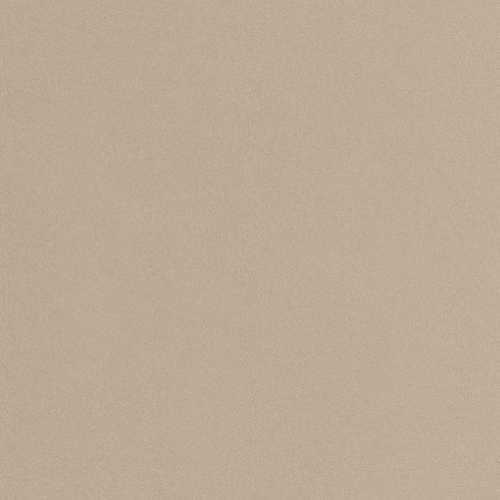 Керамогранит Imola Ceramica PRTU 60B RM PARADE 60x60