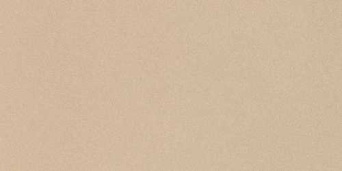 Керамогранит Imola Ceramica PRTU 12A LV PARADE 60x120