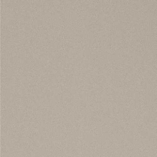 Керамогранит Imola Ceramica PRTU 120AG LV PARADE 120x120