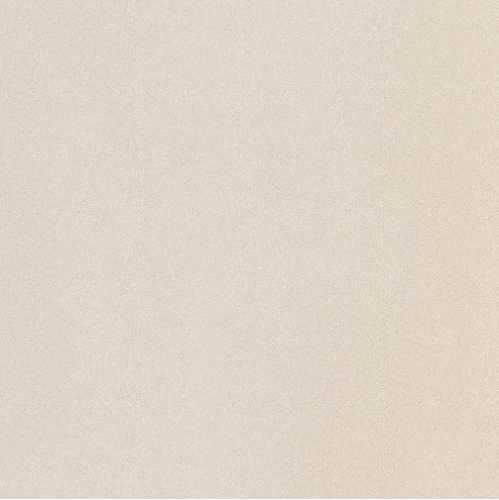 Керамогранит Imola Ceramica PRTU 120W RM PARADE 120x120