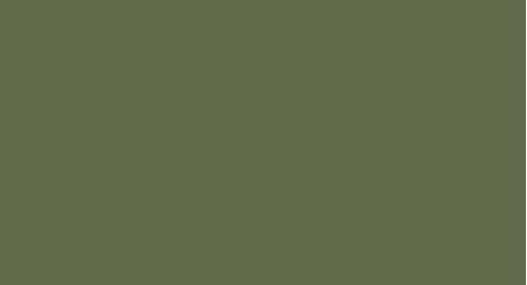 Керамогранит Grasaro G-116/PR Зеленый 60*120