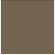 Керамогранит Top Cer L4429-1Ch Coffee Brown - Loose 10х10