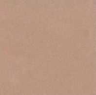 Керамогранит Top Cer L4404-1Ch Caramel - Loose 10х10