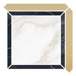 Villeroy&Boch 2041ZN2P Декор Nocturne Gold FLPR 21x21