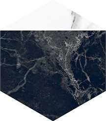 Villeroy&Boch 2043ZN9P Декор Nocturne Black FLPR 20х23