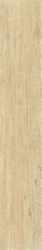 Керамогранит Bonaparte ZC 1223096 rect. 20x120