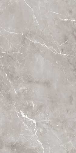 Керамогранит Ariana Ceramica PF60004297 Epoque Grey Ret 60X120