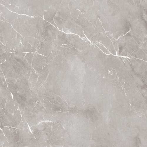 Керамогранит Ariana Ceramica PF60004309 Epoque Grey Ret 60X60