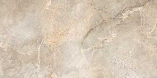 Керамогранит Leopard 6502 Silver Polished 60x120