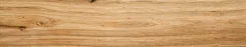 Керамогранит STN Ceramica Cypress Natural 23x120