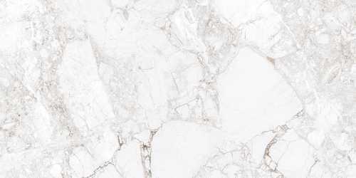 Керамогранит Absolut Gres AB 1171G Rossalia Natural Gloss 1200x600