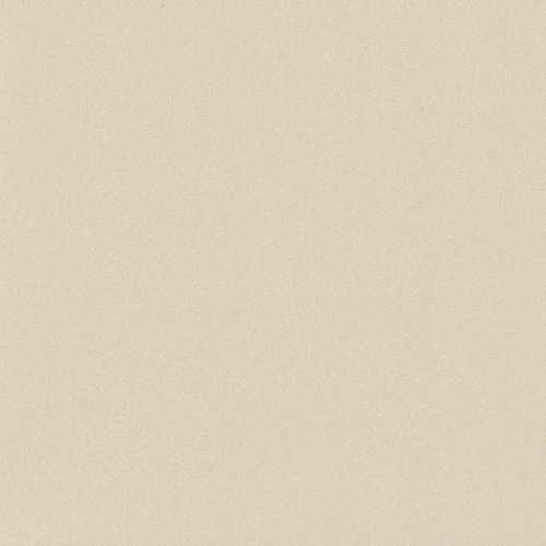 Керамогранит Baldocer Helton Bone Rect R10 120x120