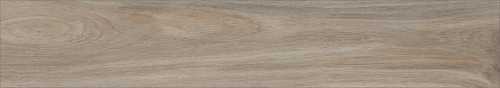 Керамогранит Baldocer Barkley Natural Rect 20*114