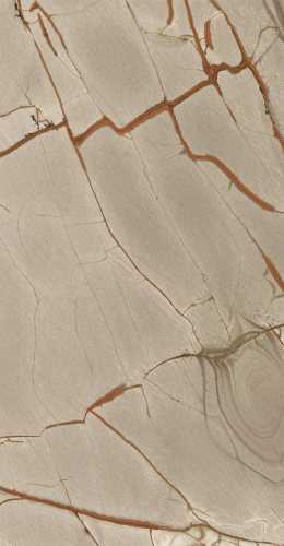 Керамогранит Casa Dolce Casa 775096 Nature Mood Rainforest Comfort Ret 9mm R10 60x120