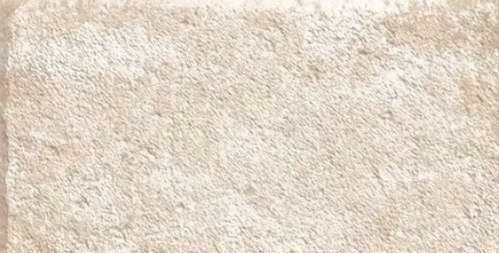 Керамогранит Dualgres Peyto Natural C3 30x60