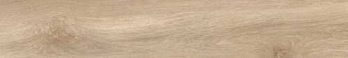 Керамогранит Tagina 105119 EVOQUE ROVERE NAT/RET 20X120
