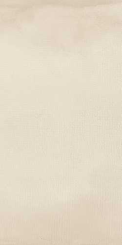 Керамогранит LEONARDO 1502 FACT 12W RM 60x120