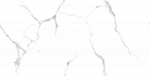 Керамогранит Casati Ceramica Silver White PGVT 60x120