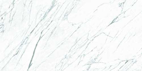 Керамогранит Roca FPK01MQ011 LM STATUARIO ST 100X200