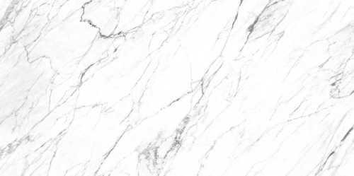 Керамогранит Roca FPK00MQ011 LM STATUARIO MC 100X200