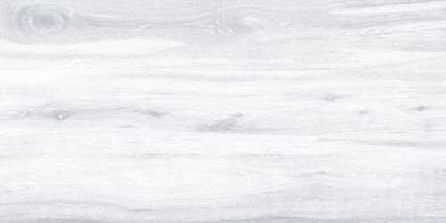 Керамогранит Keraben Naturwood Ice 60x120