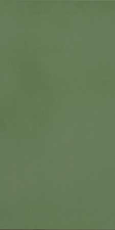 Керамогранит Casalgrande Padana R-Evolution Green 9mm 60x120
