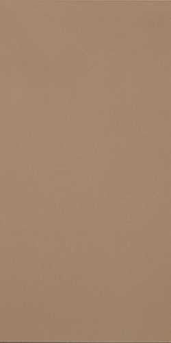 Керамогранит Casalgrande Padana R-Evolution Terra 36SC R10 60x120
