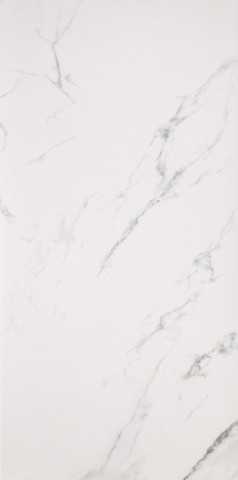 Керамогранит Casalgrande Padana MARMOKER STATUARIO GRIGIO 59x118