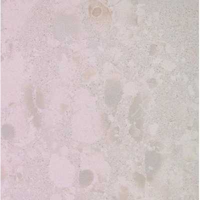 Керамогранит LEONARDO 1502 ATTD 120W RM White 120x120