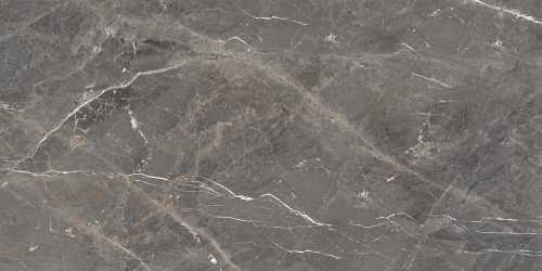 Керамогранит Ocean-Ceramic Tulip Grey Glossy 60x120