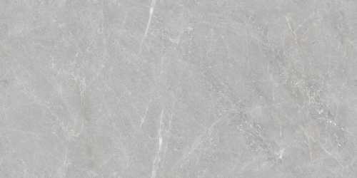 Керамогранит Neodom N20438 Firenze Grey Tm 60x120