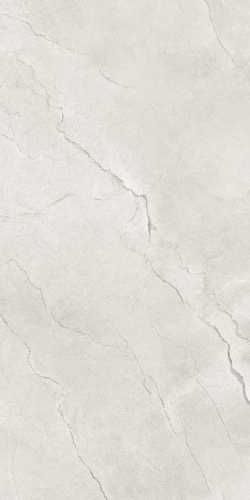 Керамогранит Maimoon Ceramica Flority Ash Glossy 60х120
