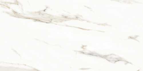 Керамогранит Neodom N12028 Marmol Carrara Polished 60x120