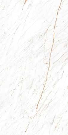 Керамогранит Ocean-Ceramic Nero White 60x120