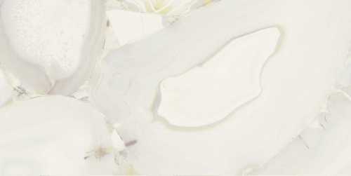 Керамогранит Brennero Grandiosa Avorio Lapp Rett 60x120